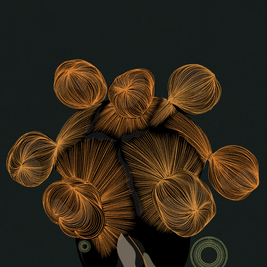 Hair as Jewellery